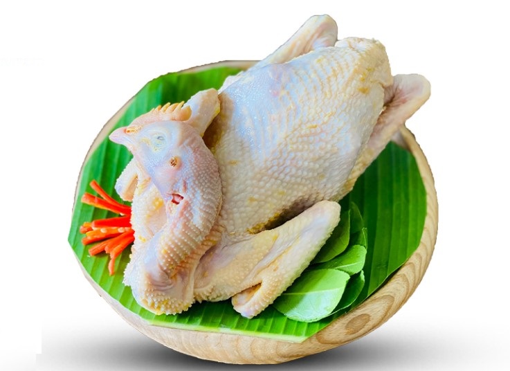 gà ủ muối hoa tiêu là gà gì, nên dùng gà ri để làm món gà ủ muối hoa tiêu